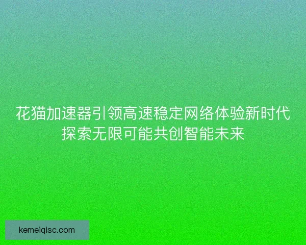花猫加速器引领高速稳定网络体验新时代探索无限可能共创智能未来